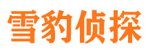 江宁捉小三公司